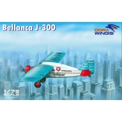 Bellanca J-300 ("Liberty"+"Warsaw")